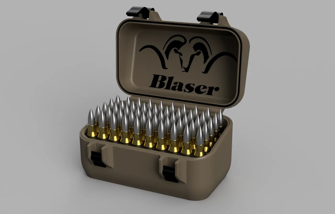 308 blaser ammo box